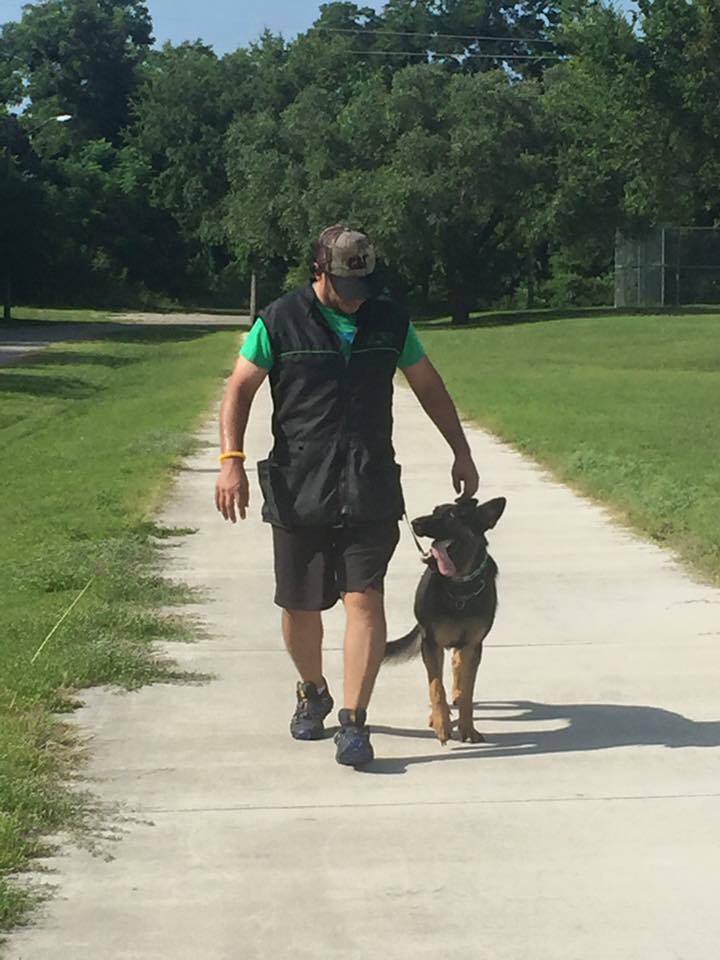Ipo schutzhund san diego