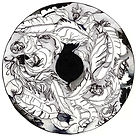 Feathers for SACRIFICE Korana Ursic