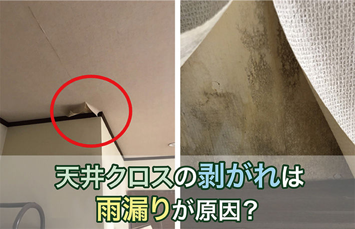 天井クロスの剥がれは雨漏りが原因 雨漏り調査で屋根に上がってわかったこと 足立区東綾瀬 株式会社三誠ホームサービス 天井クロスの剥がれは雨漏りが原因 雨漏り調査で屋根に上がってわかったこと 足立区東綾瀬 株式会社三誠ホームサービス