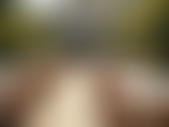 Convenient Online Party Supply Rentals - Your Online Event Rentals Guide