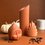 Thumbnail: FAN PALM | SPICE