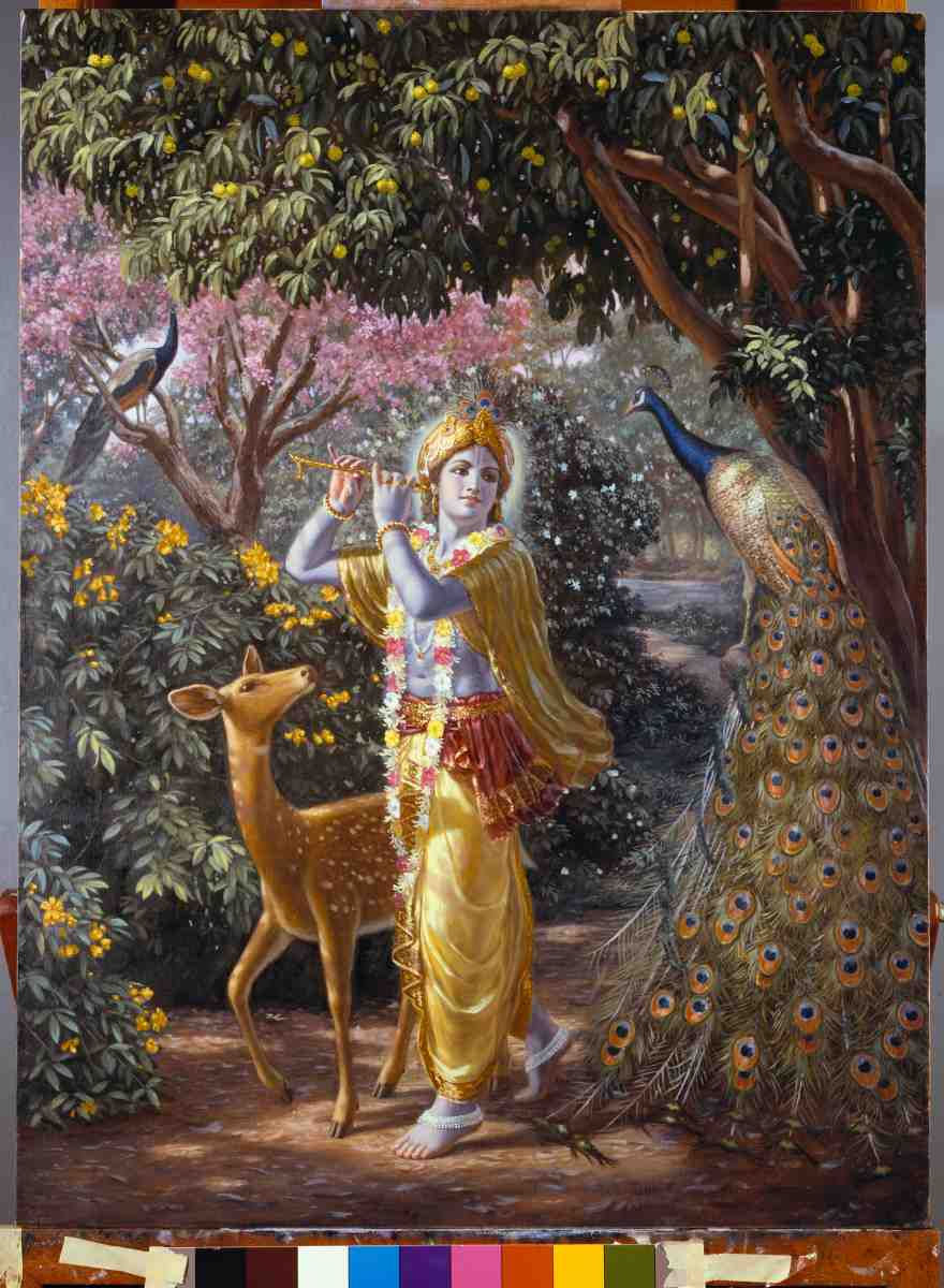 Krishna plays his flute in the rain in the forest, next to a calf.
