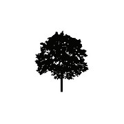 Cr Environmental Inc logo