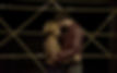 12711280_1010243755688606_978242078629901684_o.jpg