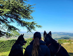 Moment calme en nature avec les chiennes