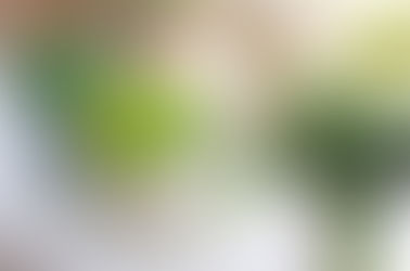 Blog---準備中