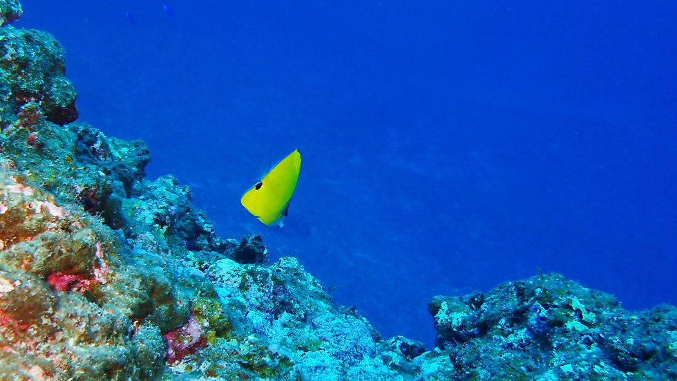 20180107_053853000_iOS