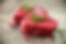 shutterstock_635864012_web.jpg