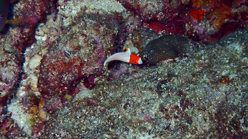 20180105_025225000_iOS