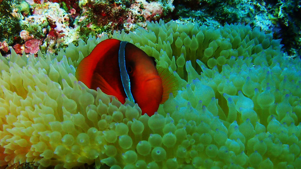 20180107_054234000_iOS