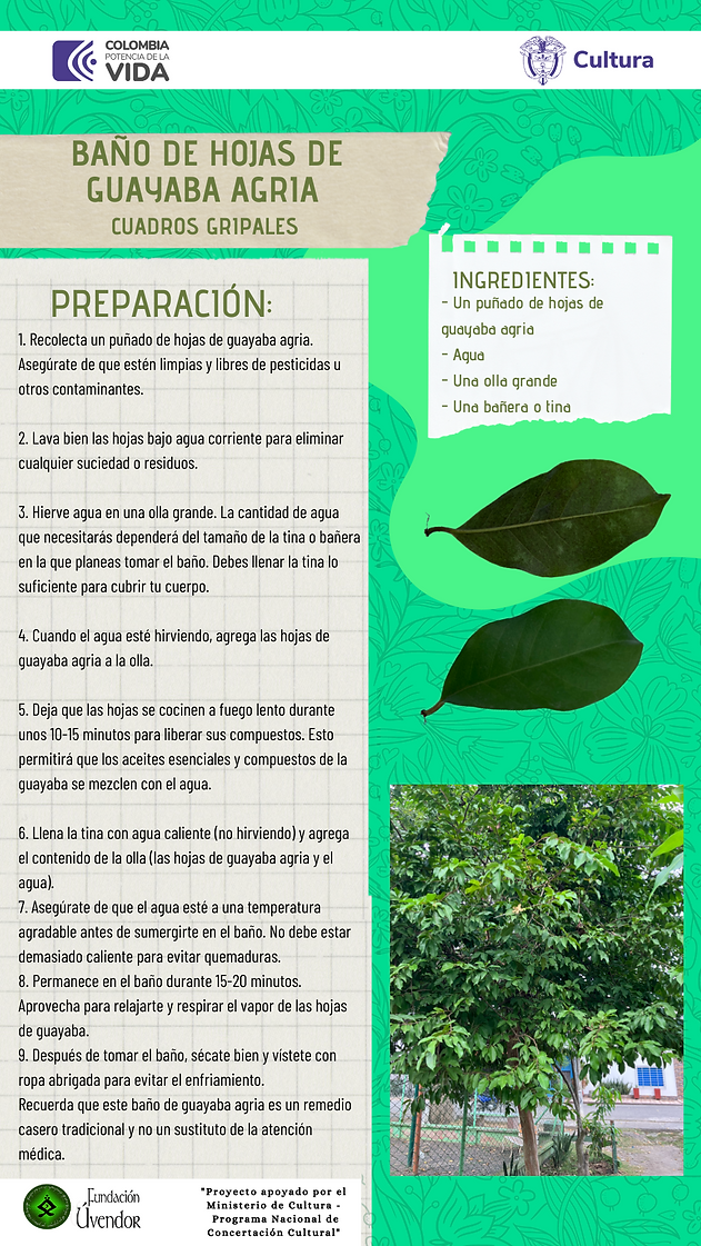 guayaba agria.png