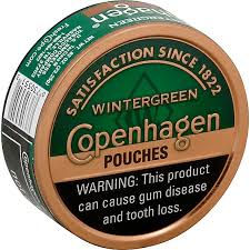 Copenhagen Wintergreen Pouches