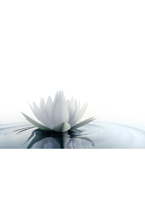 Untitled (8 × 11 in).png