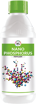 Nano Phosphorus.png