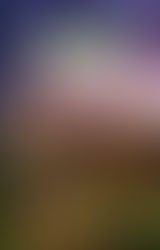 Топ-10 книг о Второй мировой войне