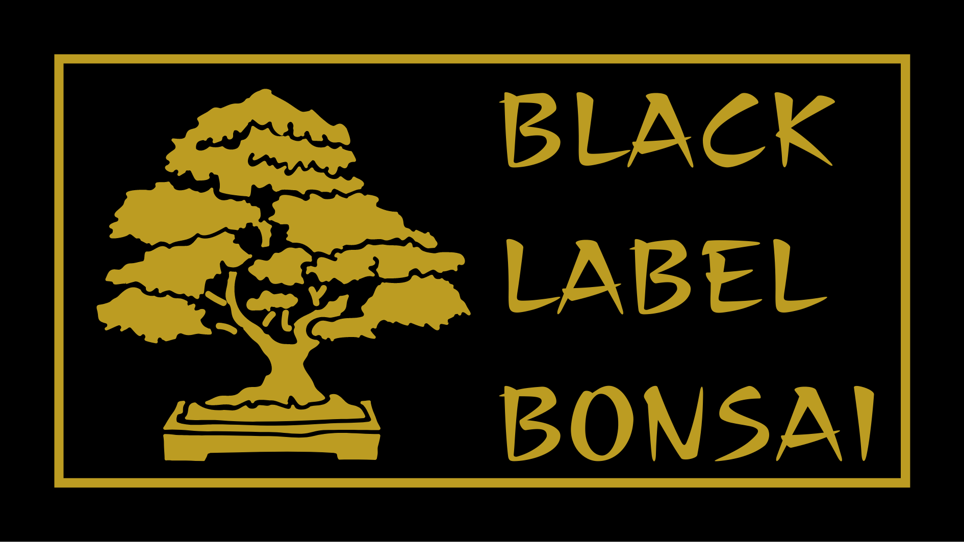 bonsai draht welche stärke Bonsai Draht aus eloxiertem Aluminium, Schwarz – HappySeed main image 1