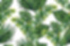 24FE09A2-2362-4220-AB18-A752C6BC9E03.jpeg