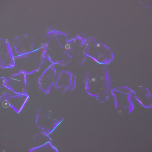 論文「アスベスト分析の屈折率測定における分散染色法技術とその適用」のサマリー