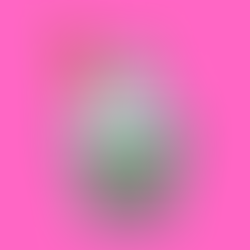 Best Place For Frozen Yogurt