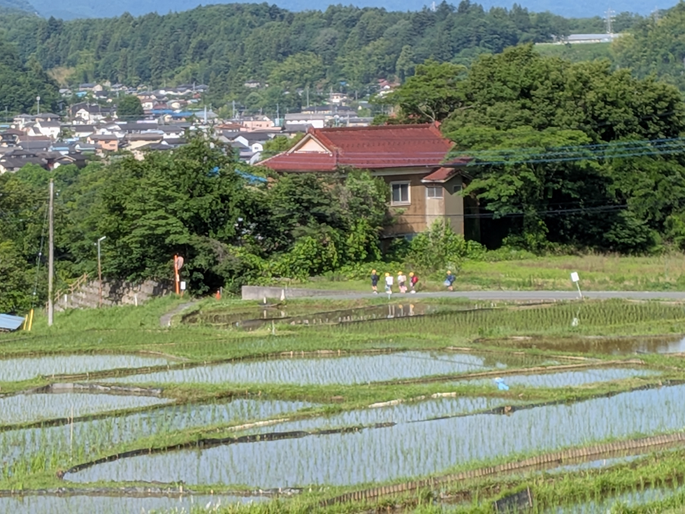 寺坂の棚田⑤ 遠くに登校する小学生の姿が見えました。棚田が暮らしと結びついている証(あかし)です。
