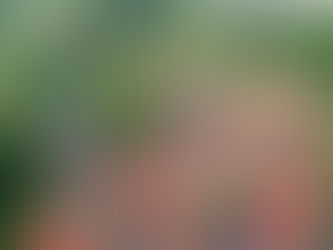 秩父グランピングサイト