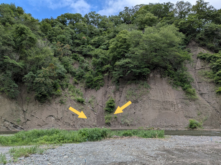 取方の侵食崖①　右崖がほぼ垂直に沈み込んでいます