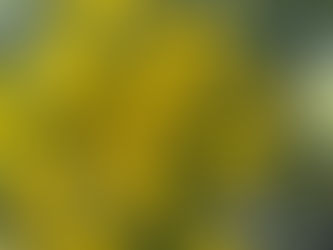 春の味覚・見覚・魅覚