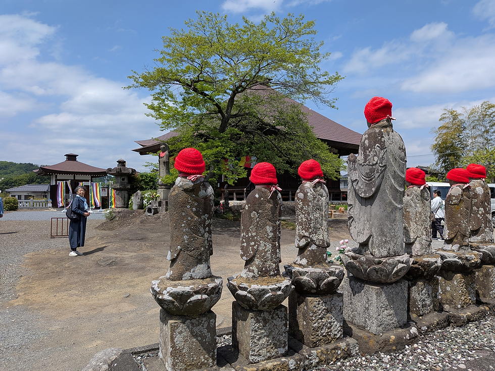 秩父巡礼旅⑪ 地質学的に貴重な「19番龍石寺」