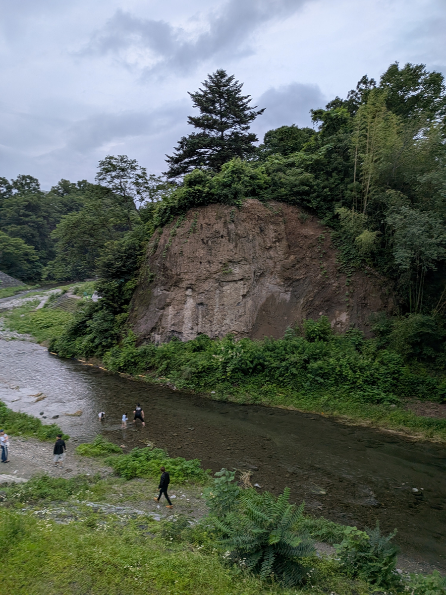 新田橋のレキ岩露頭②　画面左側にウォーターパークがあります。