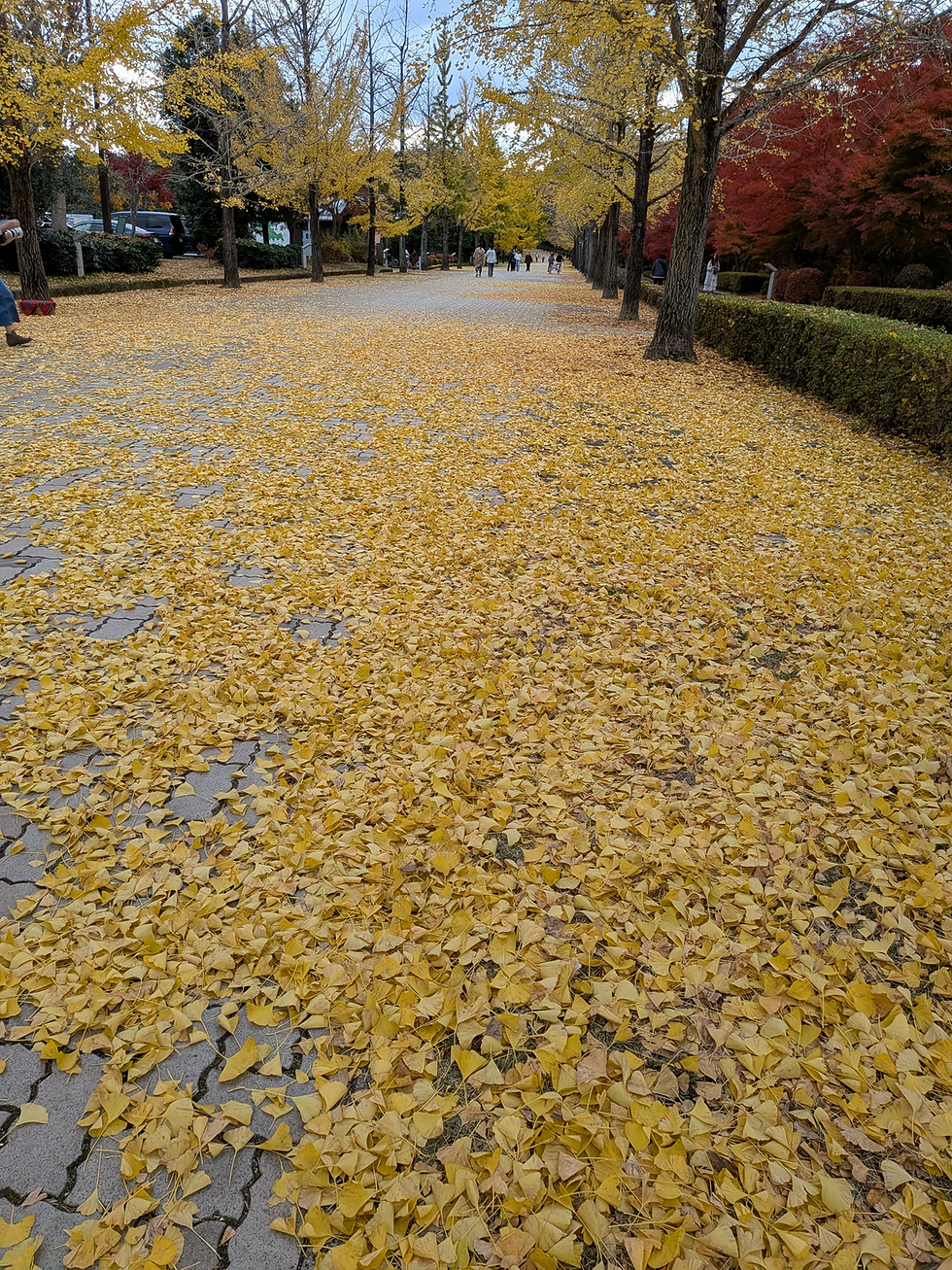 錦秋のミューズパーク