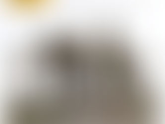 59ème foire de Bièvres les 3 et 4 juin 2023