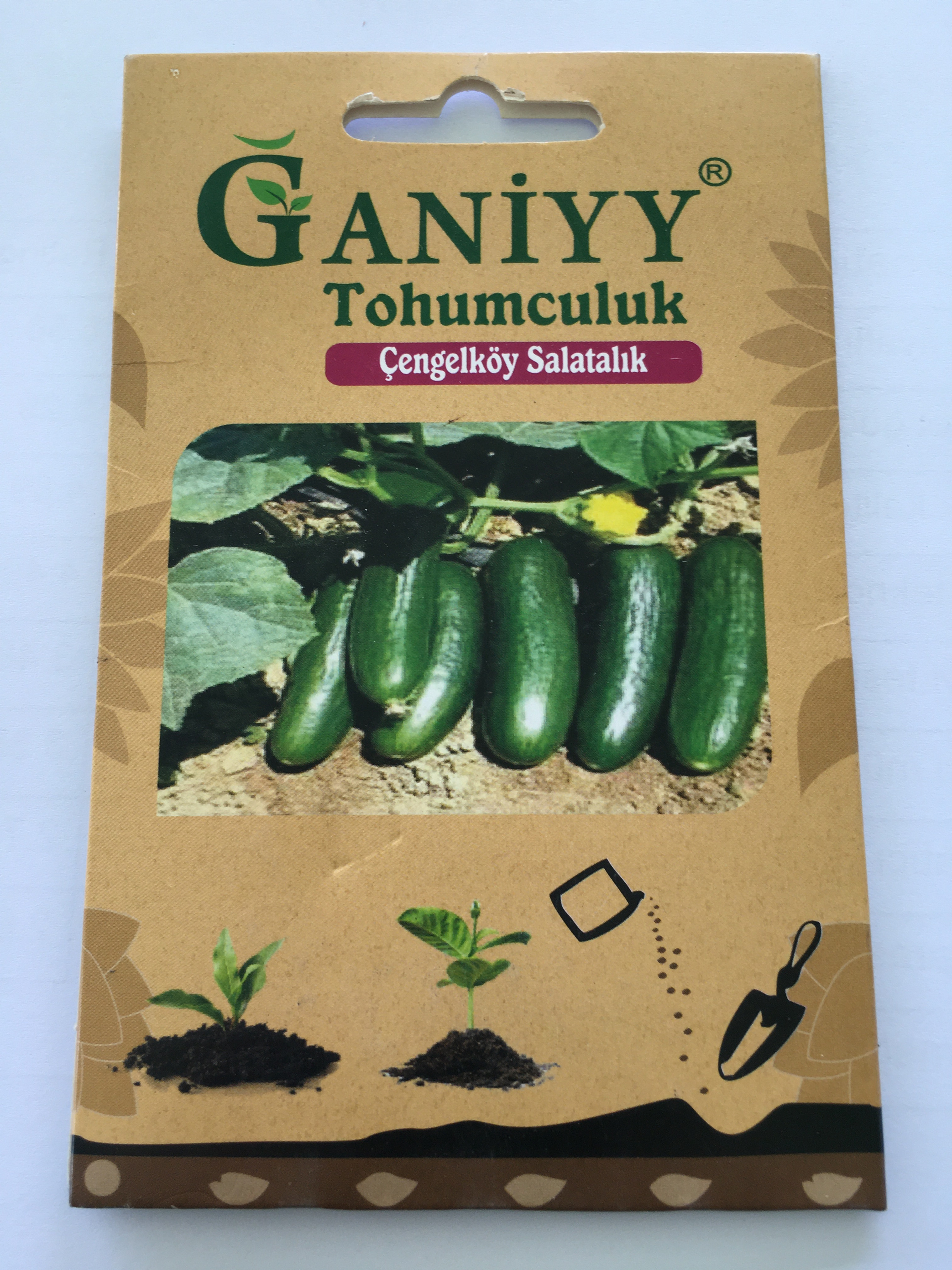 Çengelköy Salatalık Tohumu