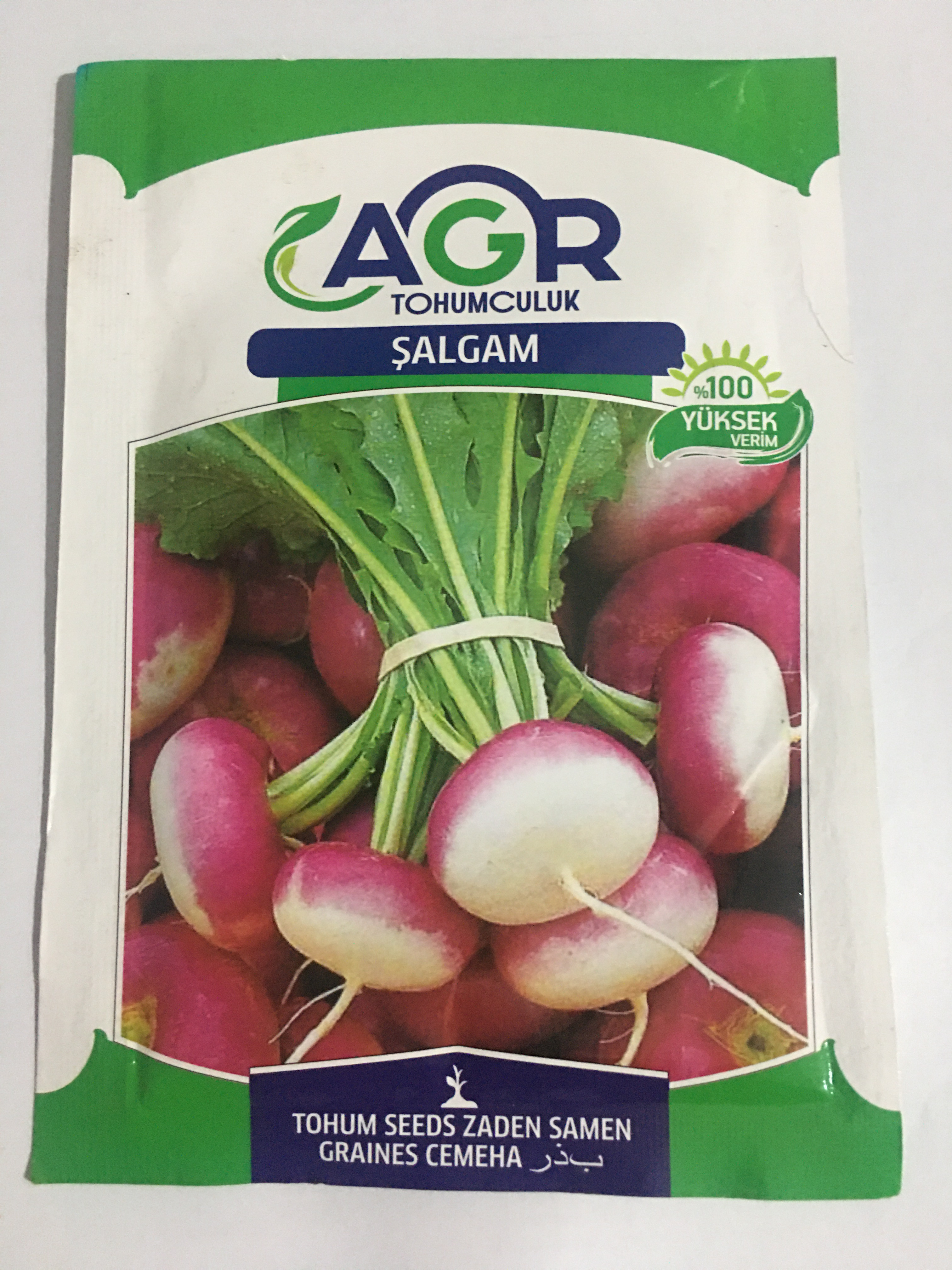 Şalgam Tohumu