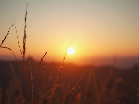 Is the Sun's Fiery Dance the Key to Unlocking Hidden Realms of Consciousness?