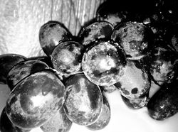 Grapes Edited