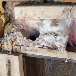 Close up of the settling space.