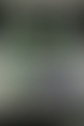 The Art of Persistance