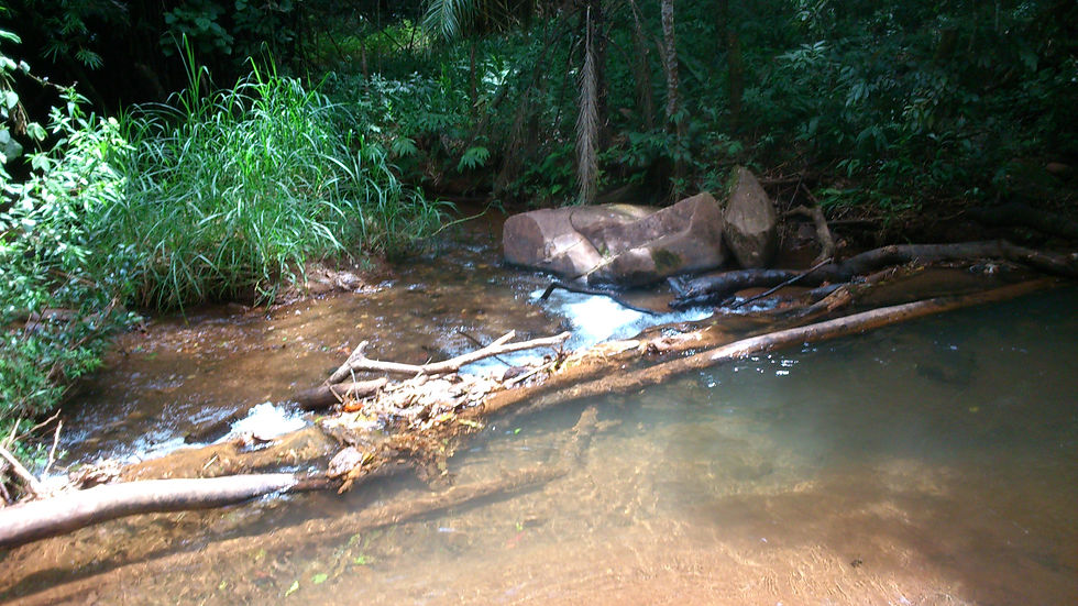 Corrego Carrapato