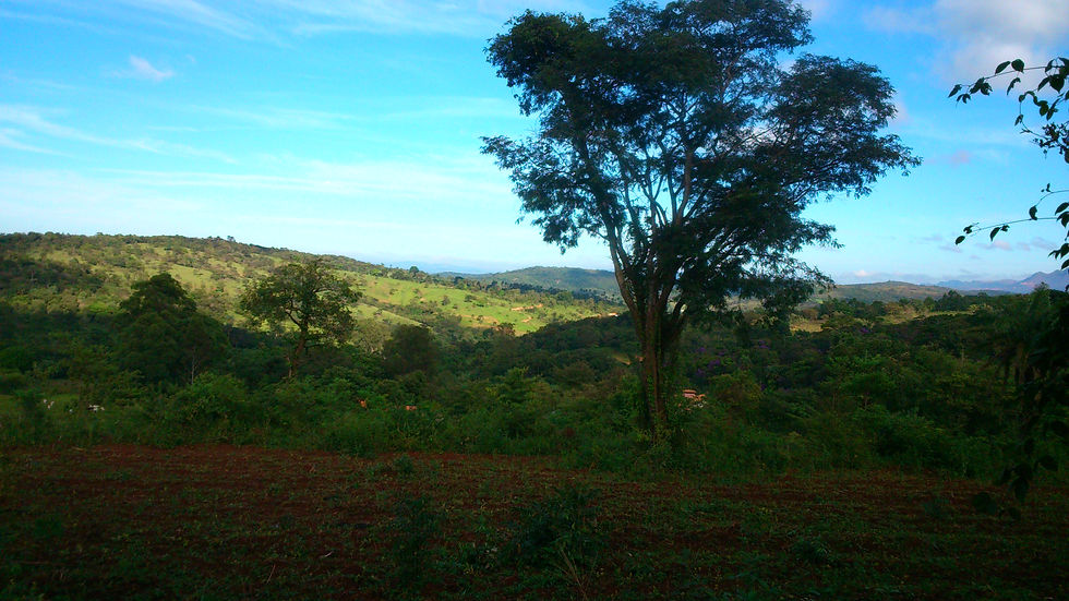Vista do campo