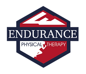 endurance pt logo (color rev).png