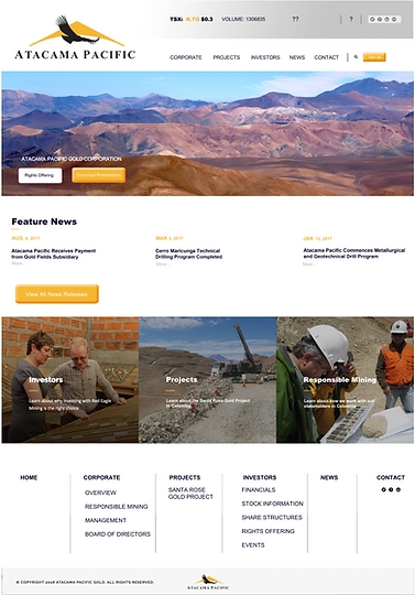 Toronto Photographer & International Photographer for Lifestyle photography specializing in portrait, family, and children's photography, woman in business, woman entrepreneurs, digital art, NFTs, business cards, ad, brochures, layout design, logo design, headshots for business, website landing page layout, UX, UI, web design