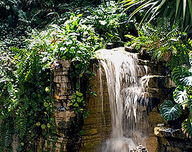 commercial image of a garden waterfall in a prestigious hotel lobby