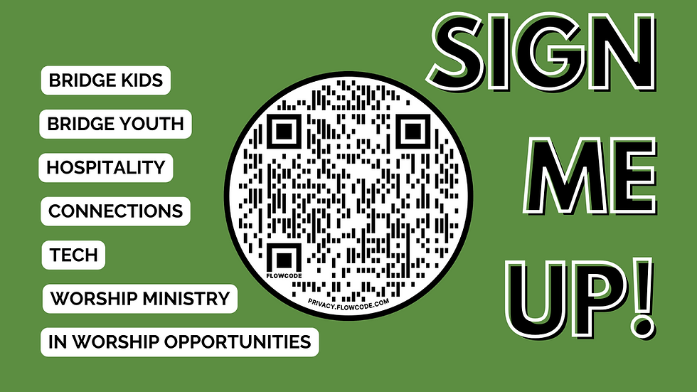 Bridge Serve - SCREENS