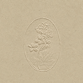Logo 5 (illustration).png