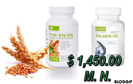 nutricion correcta