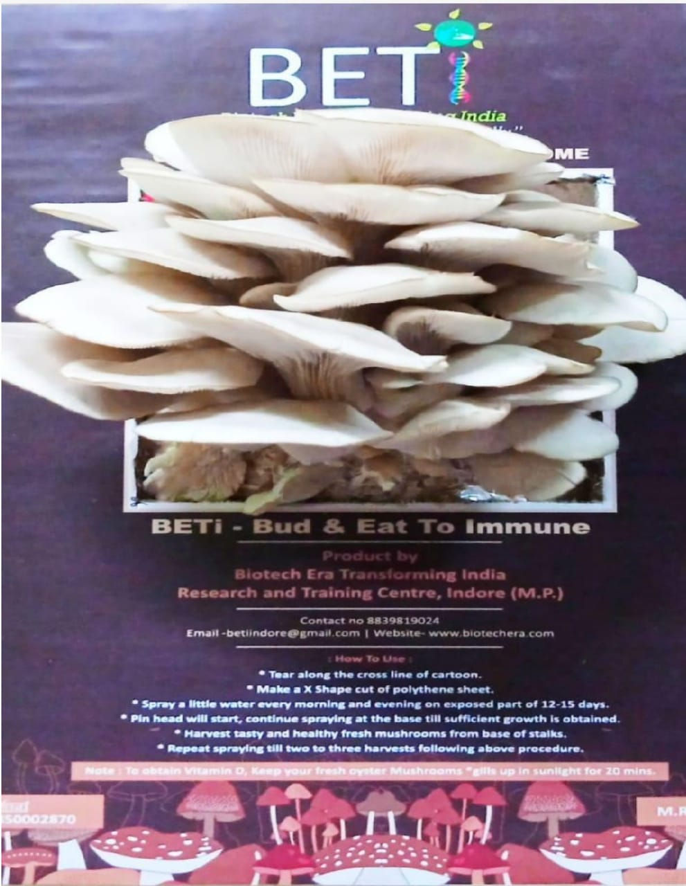 BETI GYM (Grow Your Mushrooms) At Home