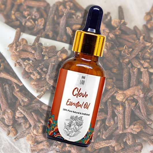 Thumbnail: Law India Clove Essential Oil