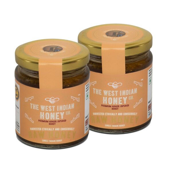 Raw Unprocessed Ginger Infused Honey - Pack of 2 (250 gms)