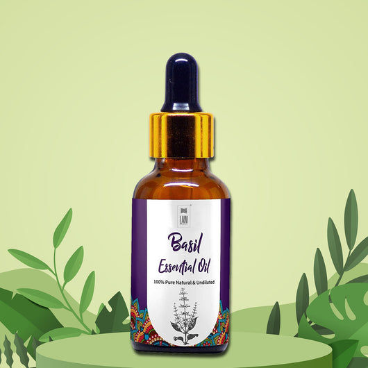 Law India Basil Essential Oil