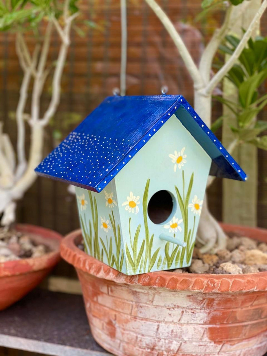 Gardens N Beyond - Twinkle and Bloom